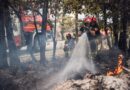 Oleśniccy Strażacy gaszą pożary lasów we Francji