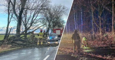 Strażacy usuwają skutki silnego wiatru w powiecie oleśnickim